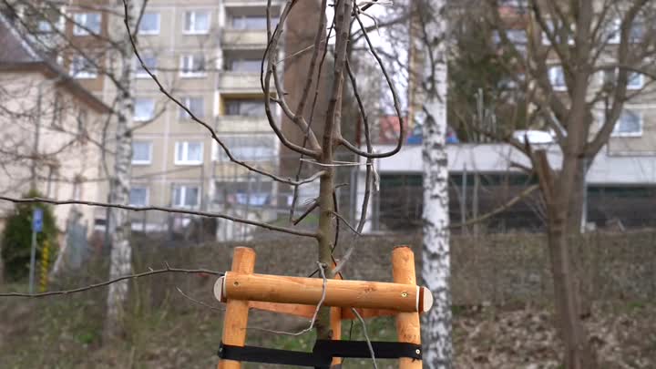 Liberecký DRAK vysadil dvacet stromů
